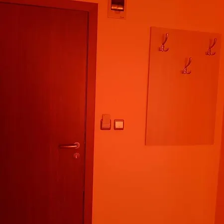 Viva * Primorsko